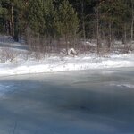 вячеслав з.