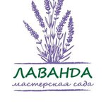 ms-lavanda