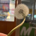 Михаил