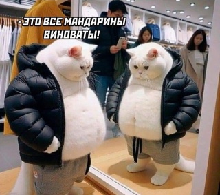 Евгений Добров