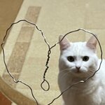 Ксения Ю.