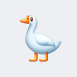 Соснин Максим Сергеевич