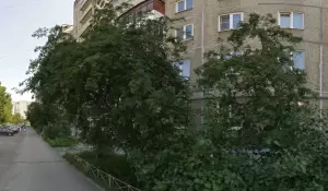 Фотография Эстодент 3