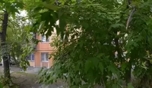 Фотография Бонус 1