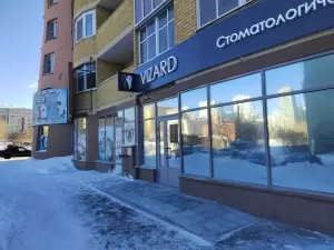 Фотография Визард 0