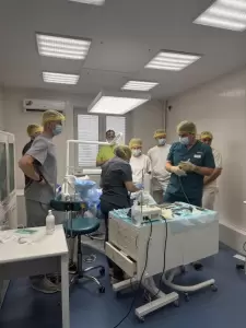 Фотография Аксиома улыбки 5